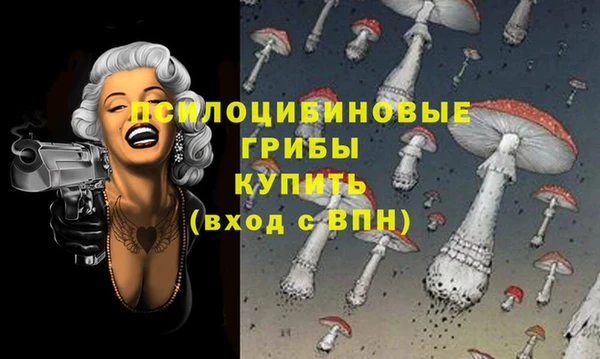 таблы Бронницы